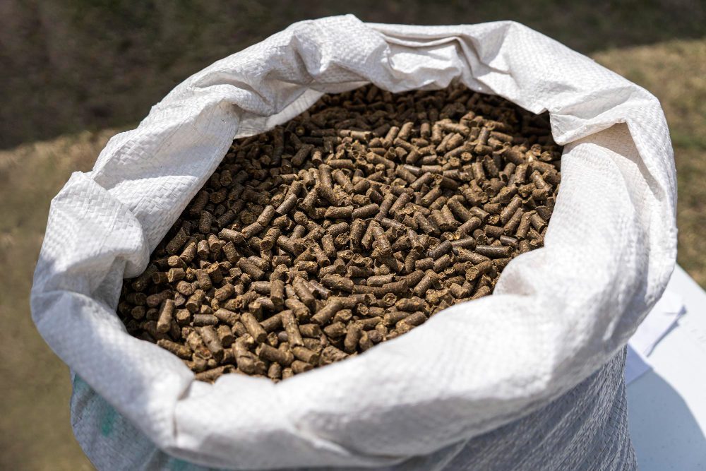 De la etichetă la rezultate: Ghidul fermierului pentru evaluarea furajelor